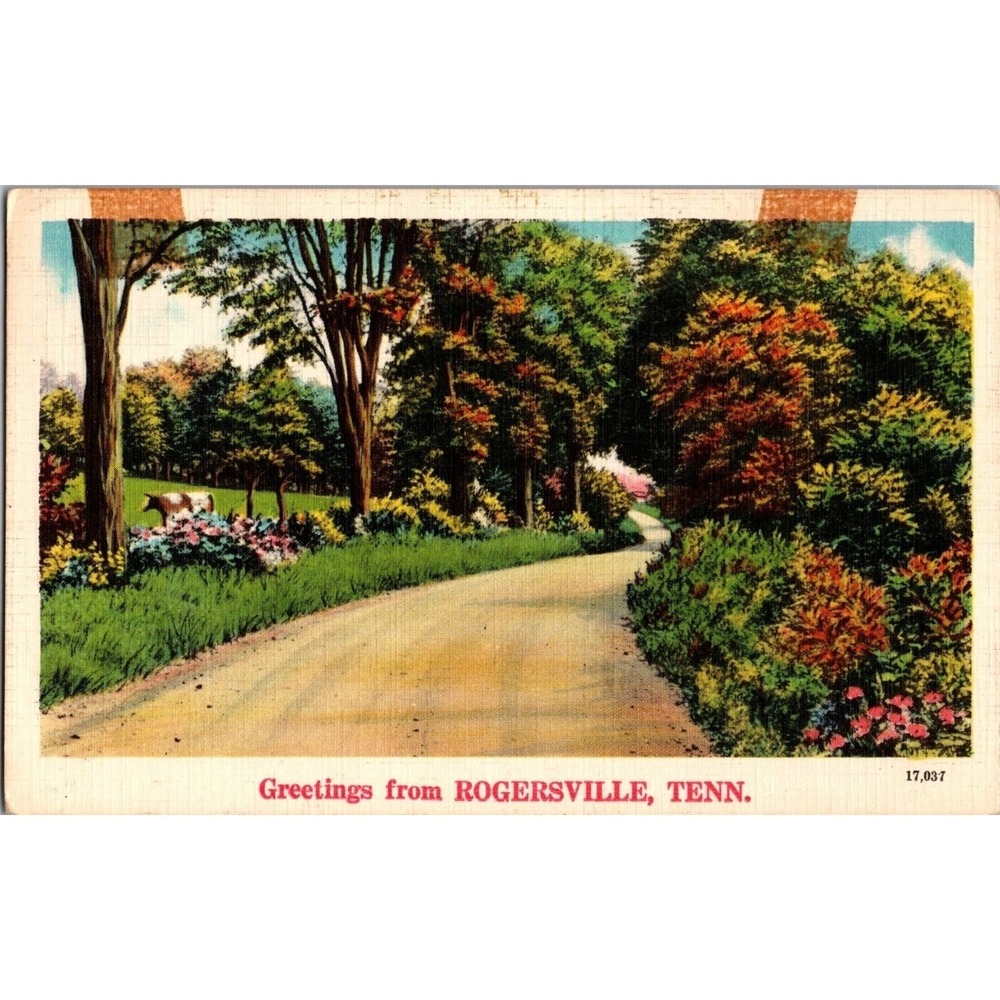 Vintage‎ 1951 Postcard Greetings From Rogersville Tenn